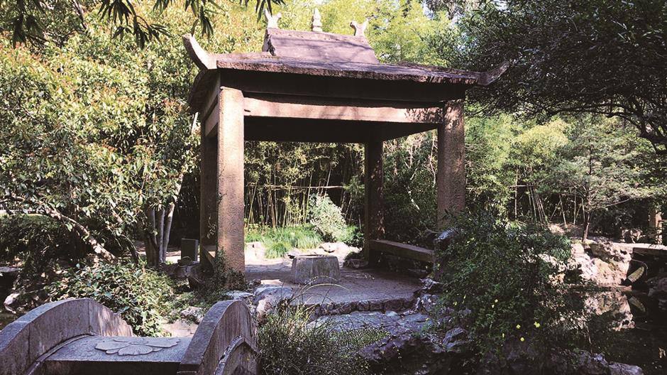 Water Image